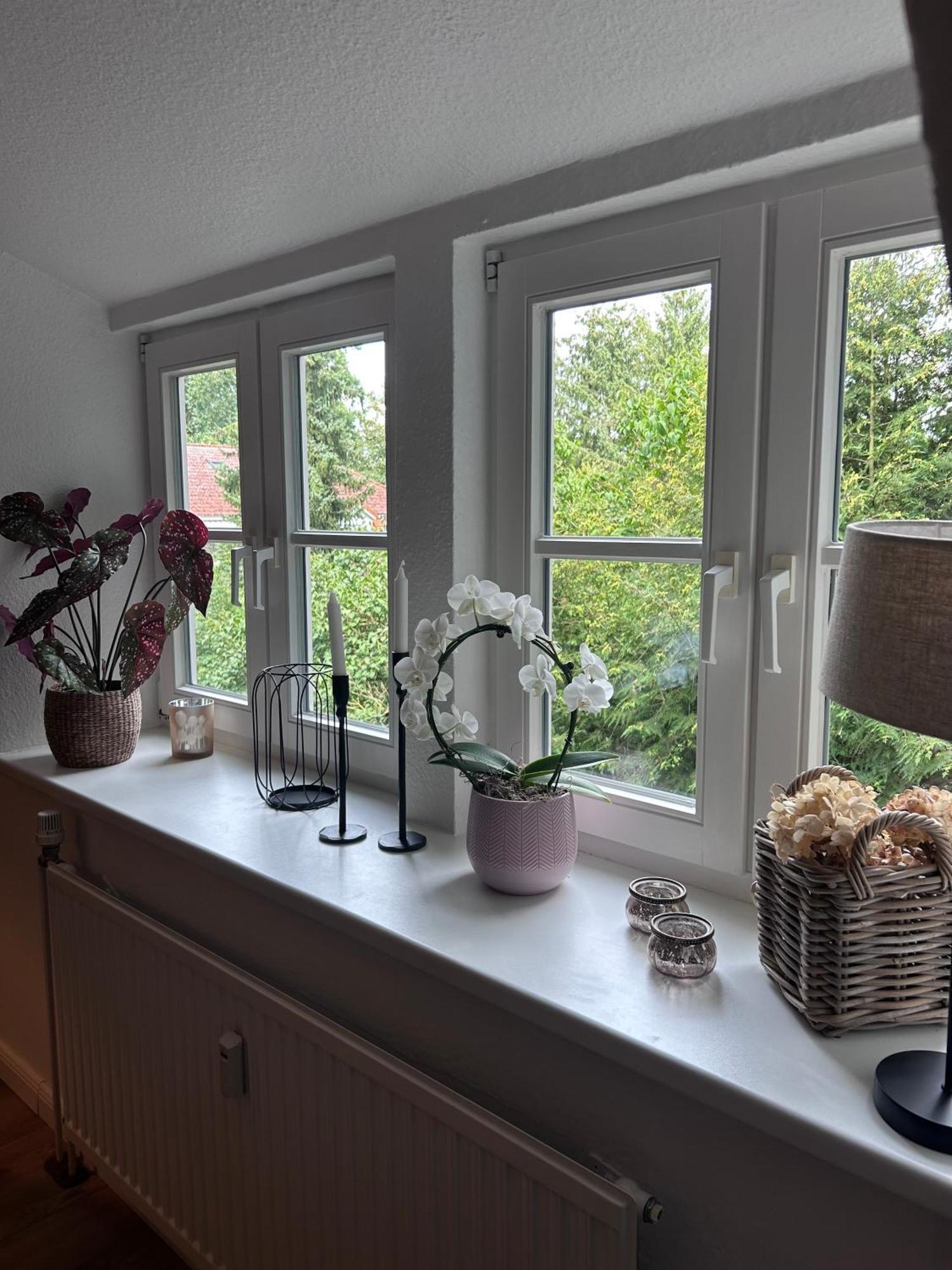 4 Wunderschoene Ferienwohnungen Im Kavaliershaus Schwerin  Bagian luar foto